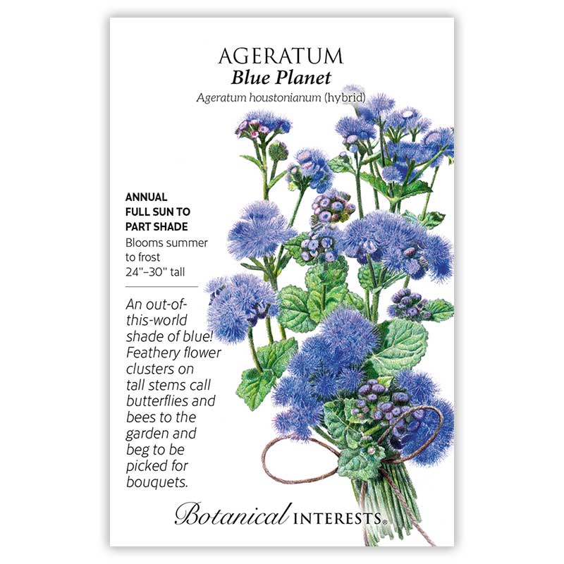 Blue Planet Ageratum  Seeds     view 3