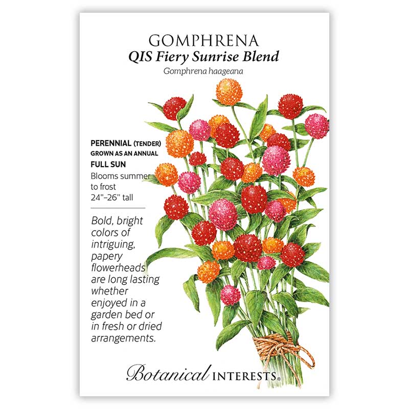 QIS Fiery Sunrise Blend Gomphrena Seeds    view 3