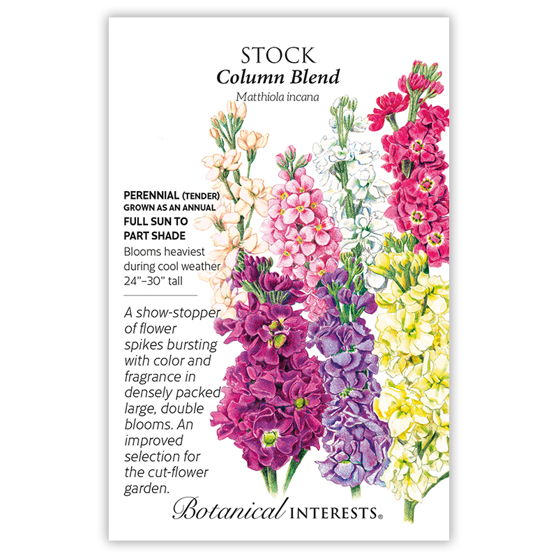 Column Blend Stock Seeds      view 3