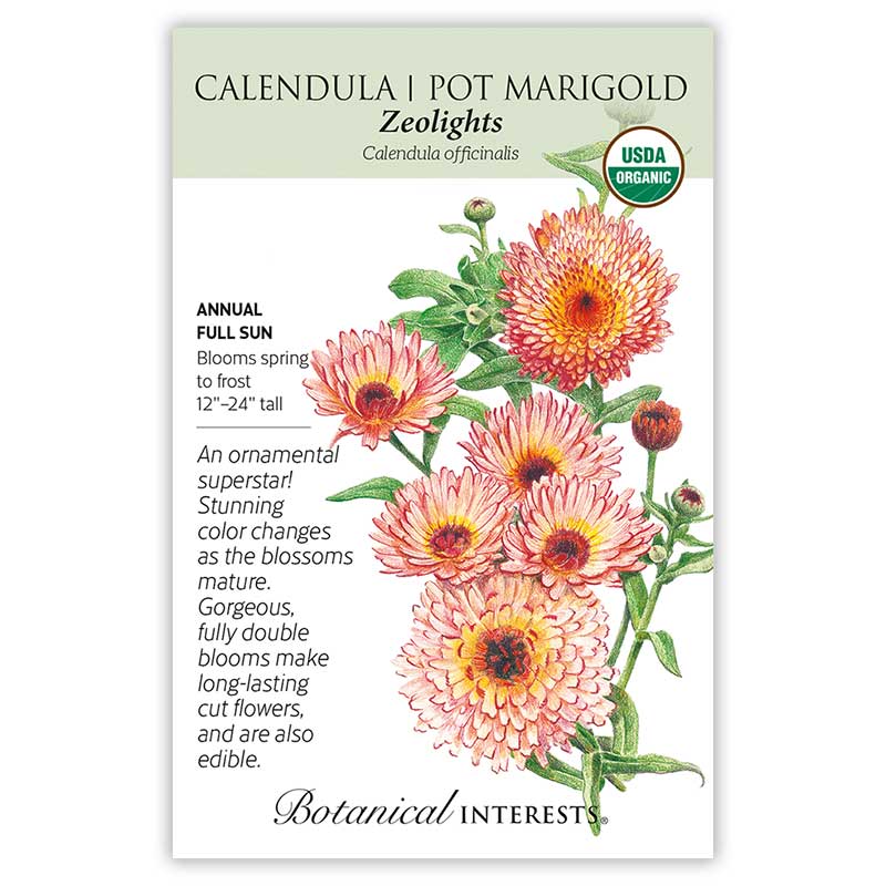 Zeolights Calendula (Pot Marigold) Seeds    view 3