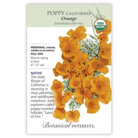 Orange California Poppy Seeds      view 4