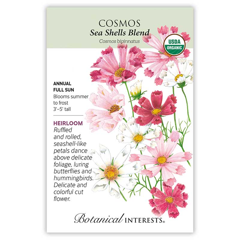 Sea Shells Blend Cosmos Seeds view 4
