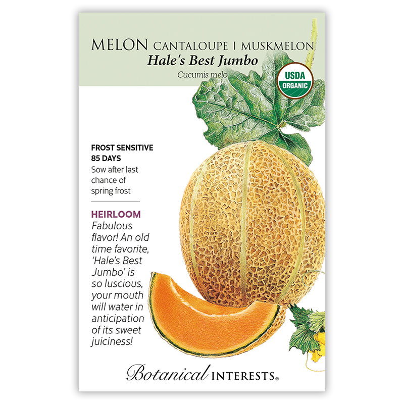 Hale's Best Jumbo Cantaloupe/Muskmelon Melon Seeds   view 3