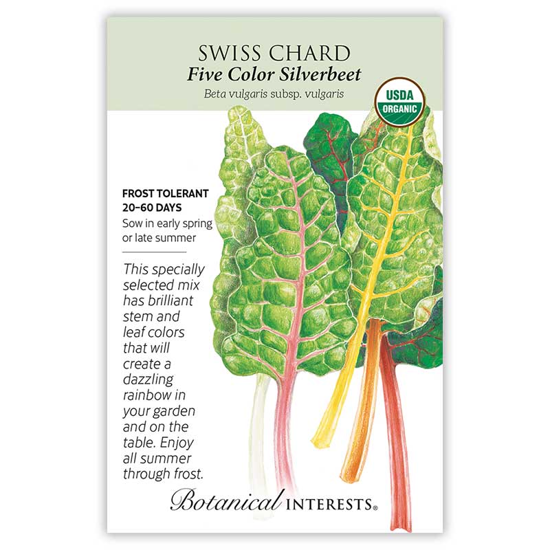 Five Color Silverbeet Swiss Chard Seeds    view 3