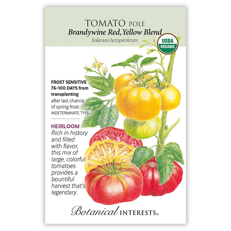 Brandywine Red & Yellow Blend Pole Tomato Seeds   view 3