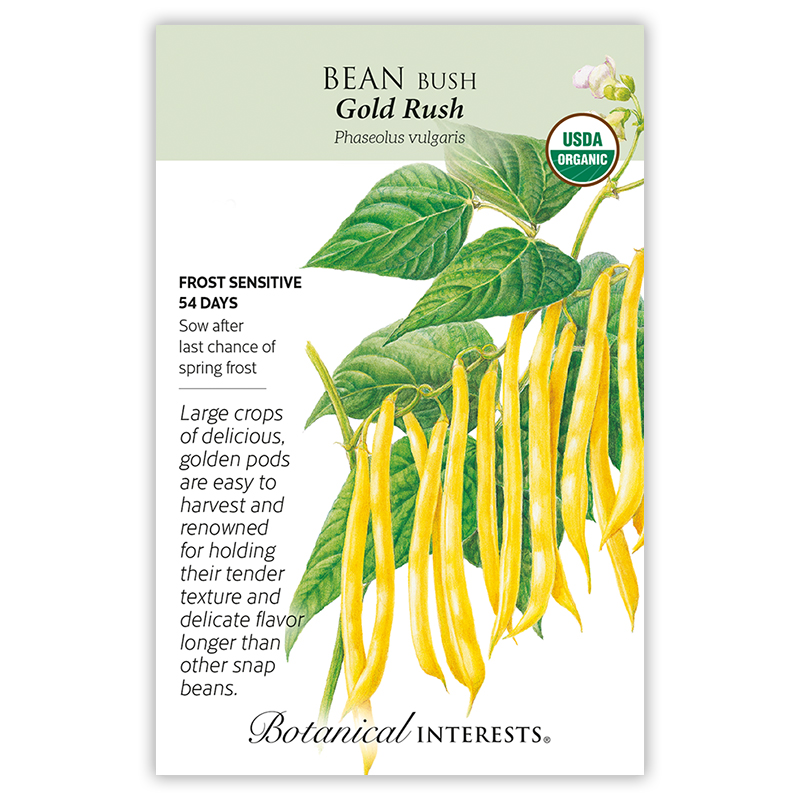 Gold Rush Bush Bean Seeds     view 3