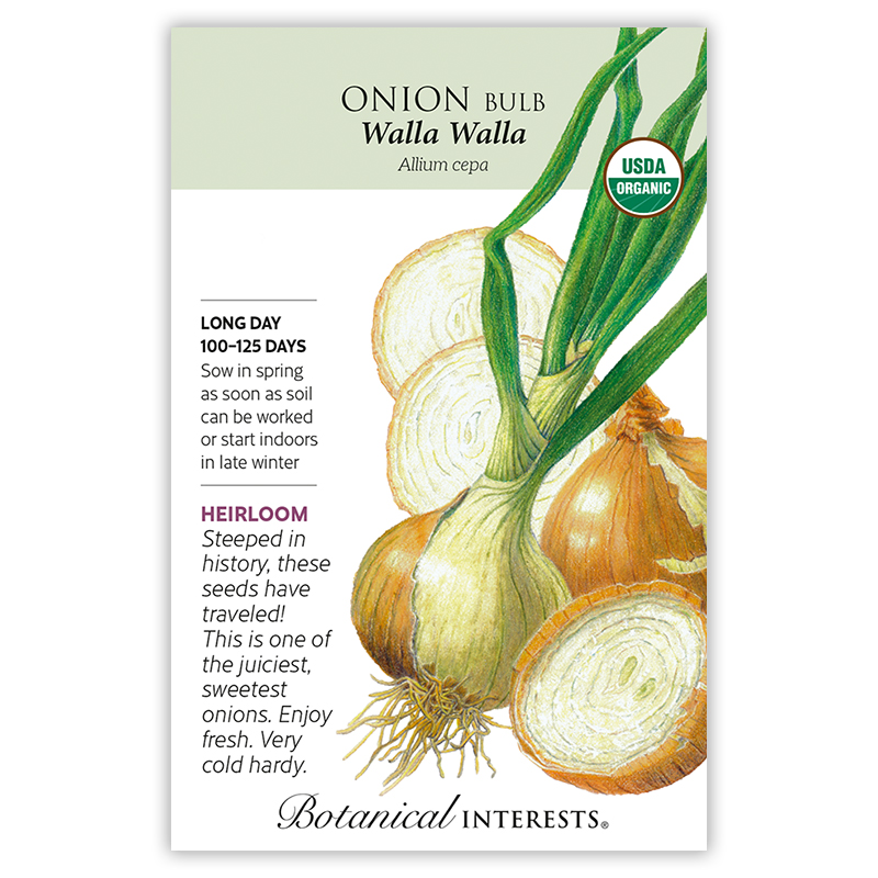 Walla Walla Bulb Onion Seeds     view 3
