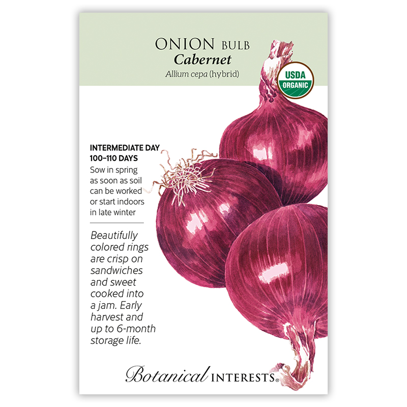 Cabernet Bulb Onion Seeds      view 3