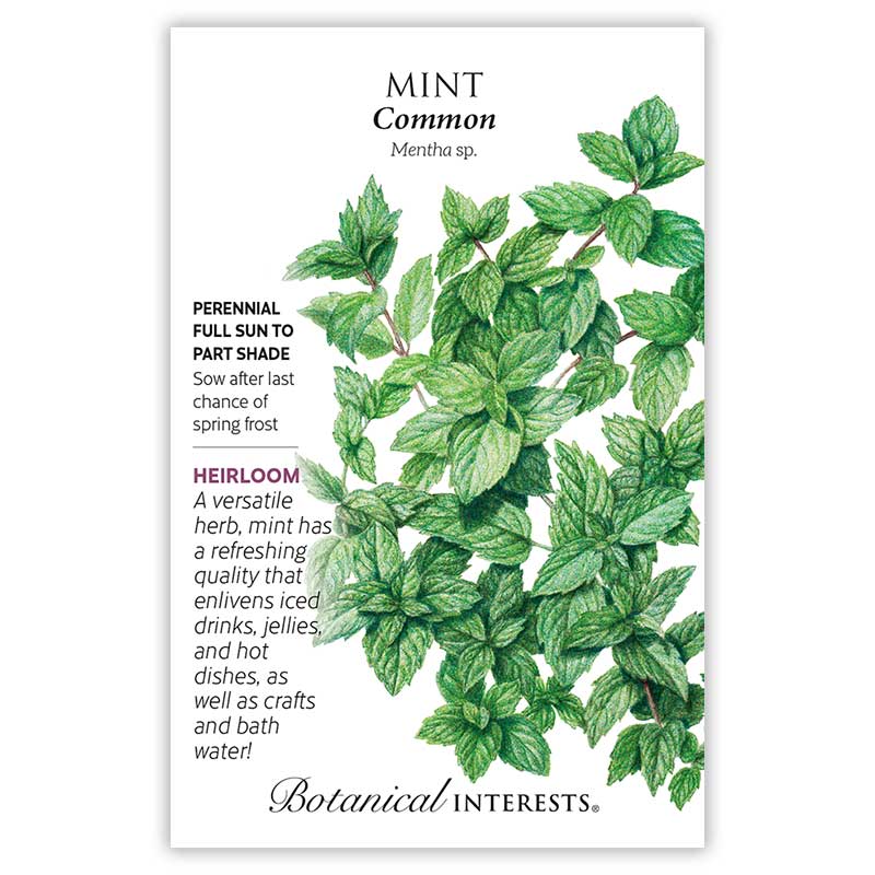 Common Mint Seeds       view 3