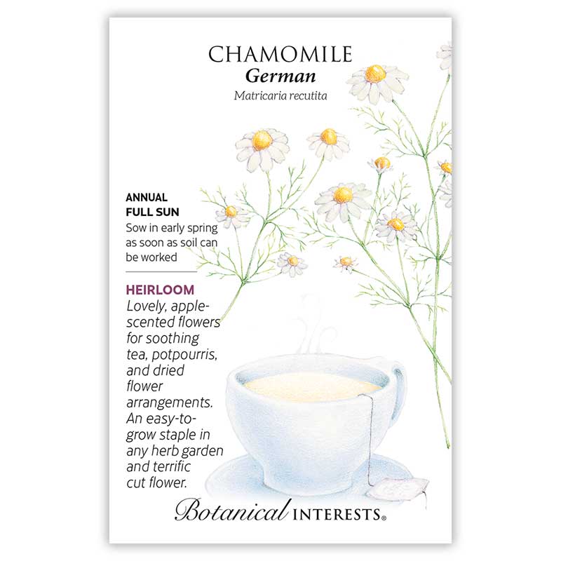 German 500 Chamomile Seeds Heirloom Herb 2021 Seeds     Great for Tea! 