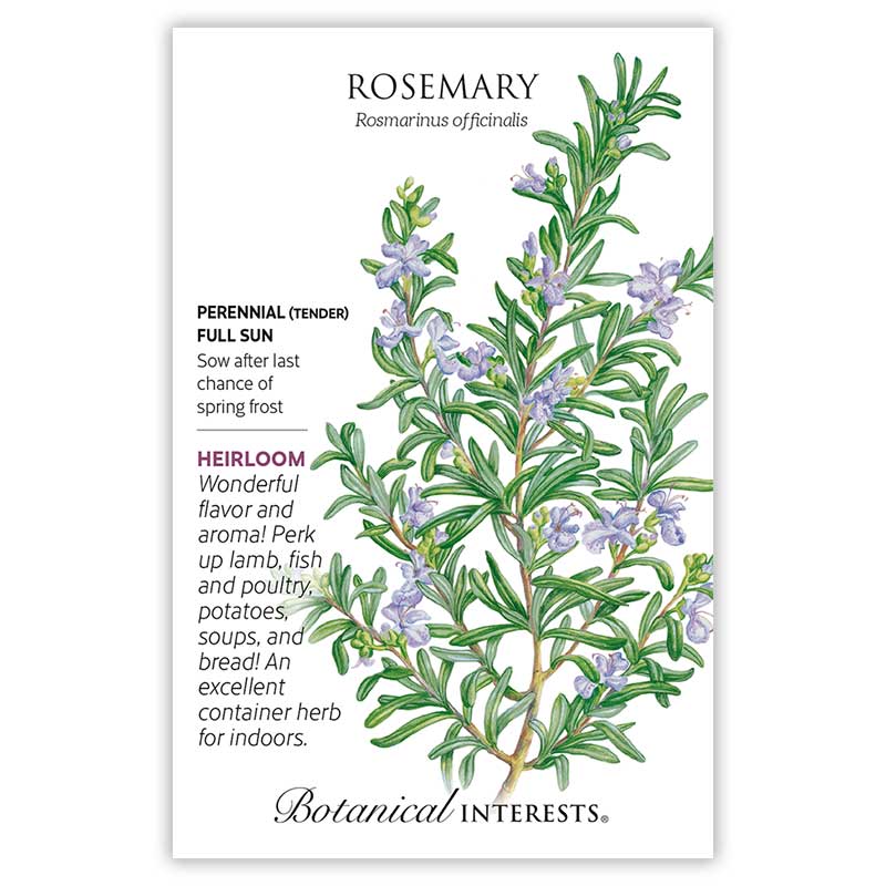 Perhaps 30 to 50% so Plant a Few More Seeds Than You Would Normally do. Herb Seed Rosemary 50+ Seeds Healthy and Tasty HerbThe Germination Rate for Rosemary can be Low Heirloom 