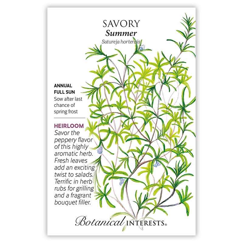 Summer Savory Seeds       view 3