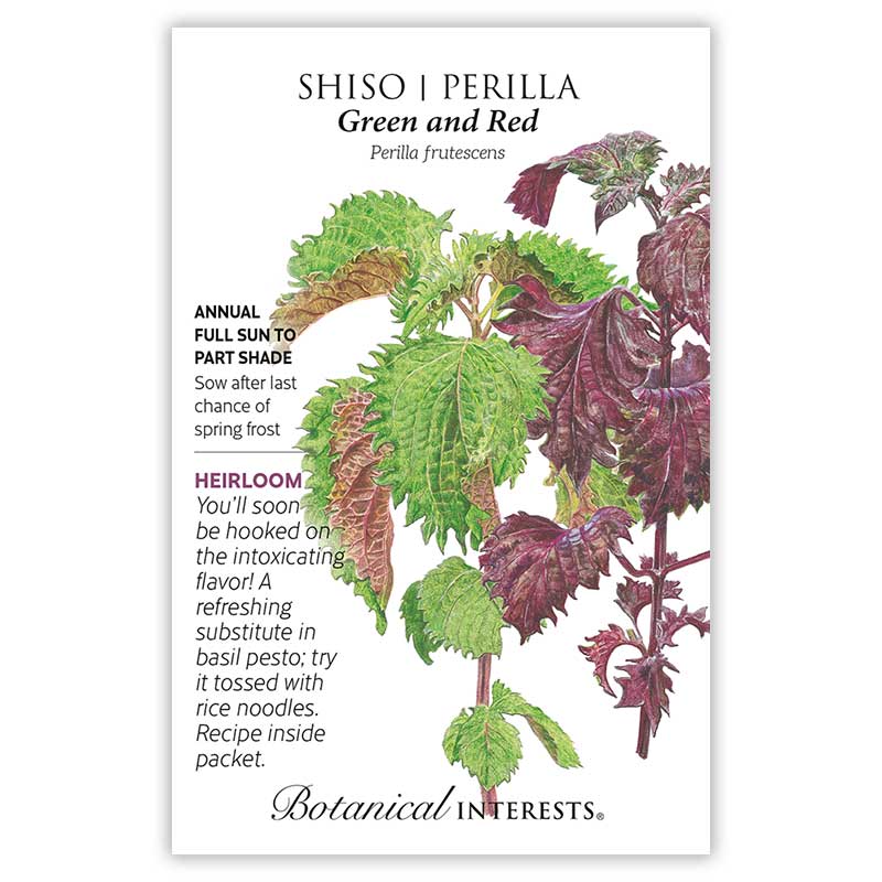 Green and Red Shiso Perilla Seeds    view 3