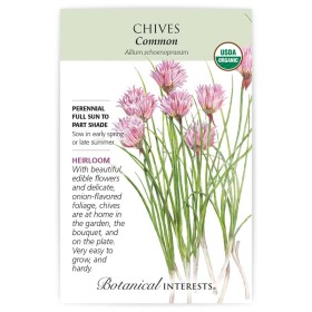 Common Chives Seeds       view 4