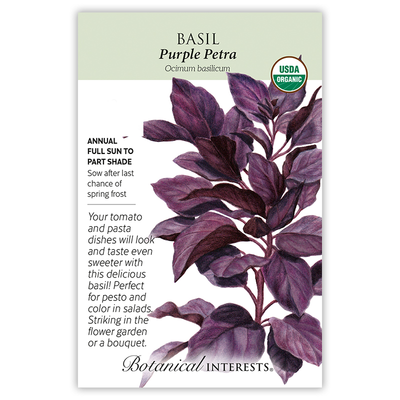 Purple Petra Basil Seeds      view 3