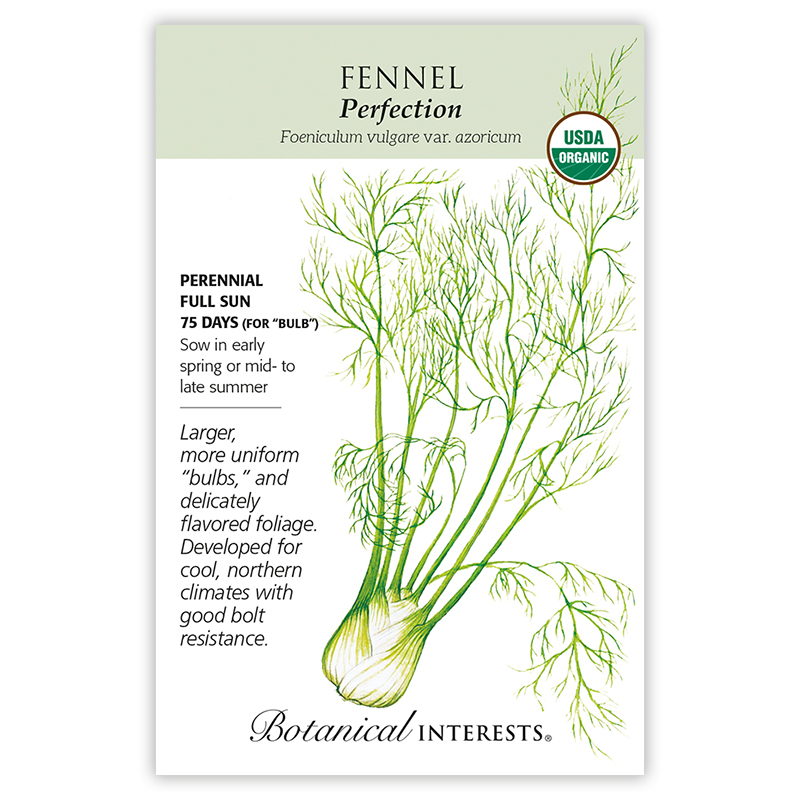 Perfection Fennel Seeds       view 3