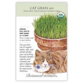 Cat Grass Mix Seeds      view 3