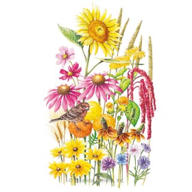 Songbird Delight Flower Mix Seeds     view 1