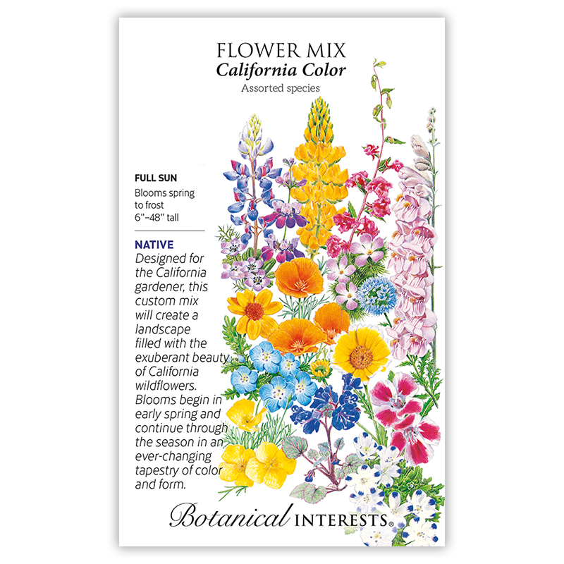 California Color Flower Mix Seeds     view 2
