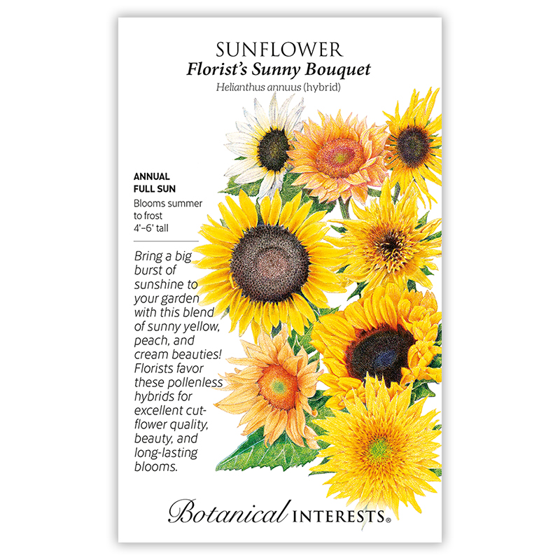 Florist's Sunny Bouquet Sunflower Seeds     view 3