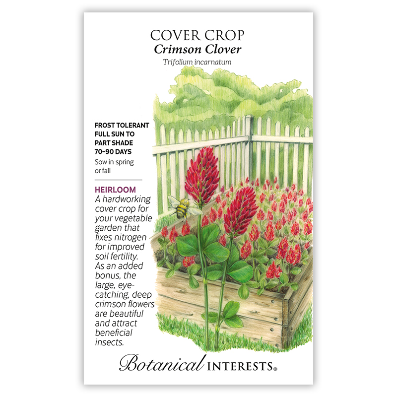 Crimson Clover Cover Crop Seeds     view 3