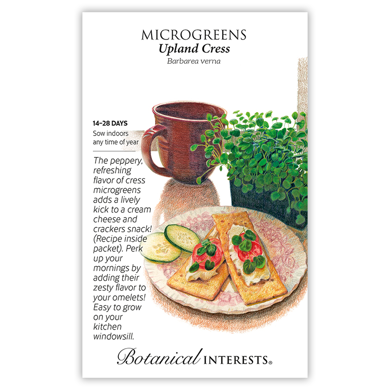 Upland Cress Microgreens Seeds     view 3