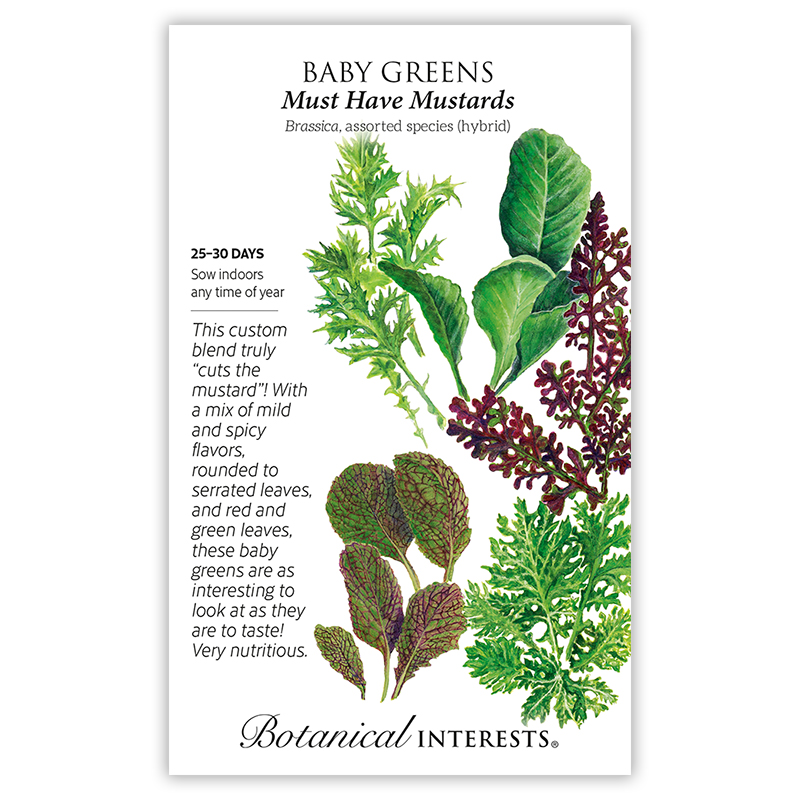 Must Have Mustards Baby Greens Seeds  view 4