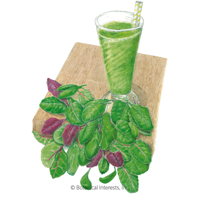 Smoothie Mix Baby Greens Seeds view 1
