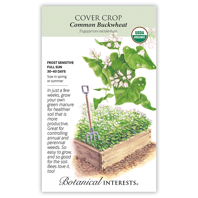 Common Buckwheat Cover Crop Seeds     view 3