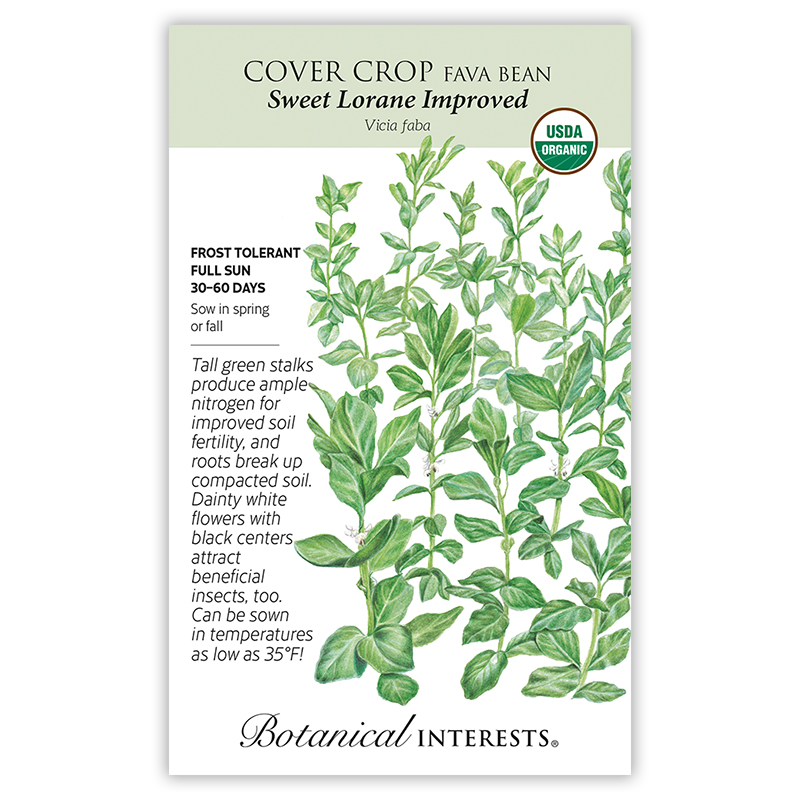 Sweet Lorane Improved Fava Bean Cover Crop Seeds  view 3