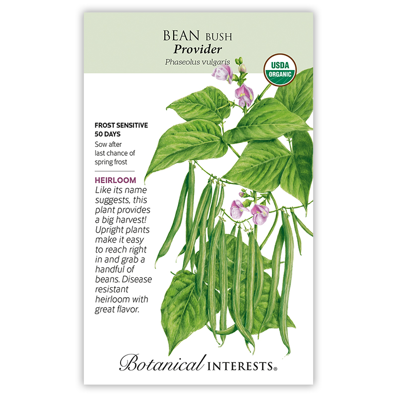 Provider Bush Bean Seeds      view 3