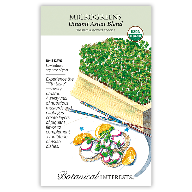 Umami Asian Blend Microgreens Seeds     view 3