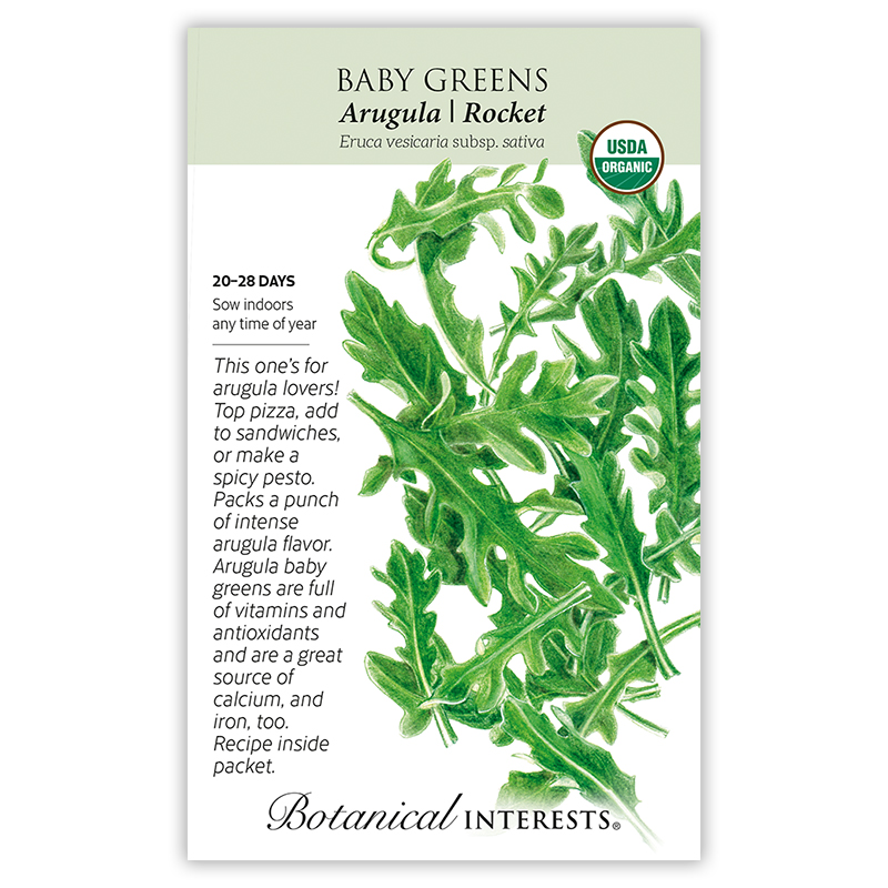 Arugula Baby Greens Seeds     view 3