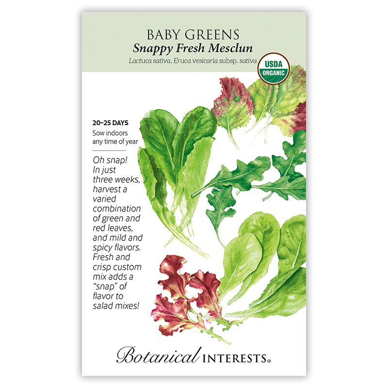 Snappy Fresh Mesclun Baby Greens Seeds    view 3