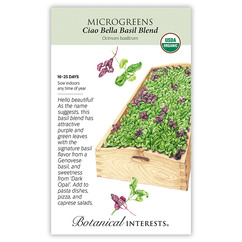 Ciao Bella Basil Blend Microgreens Seeds    view 3