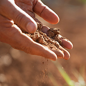 Soil Tests 101