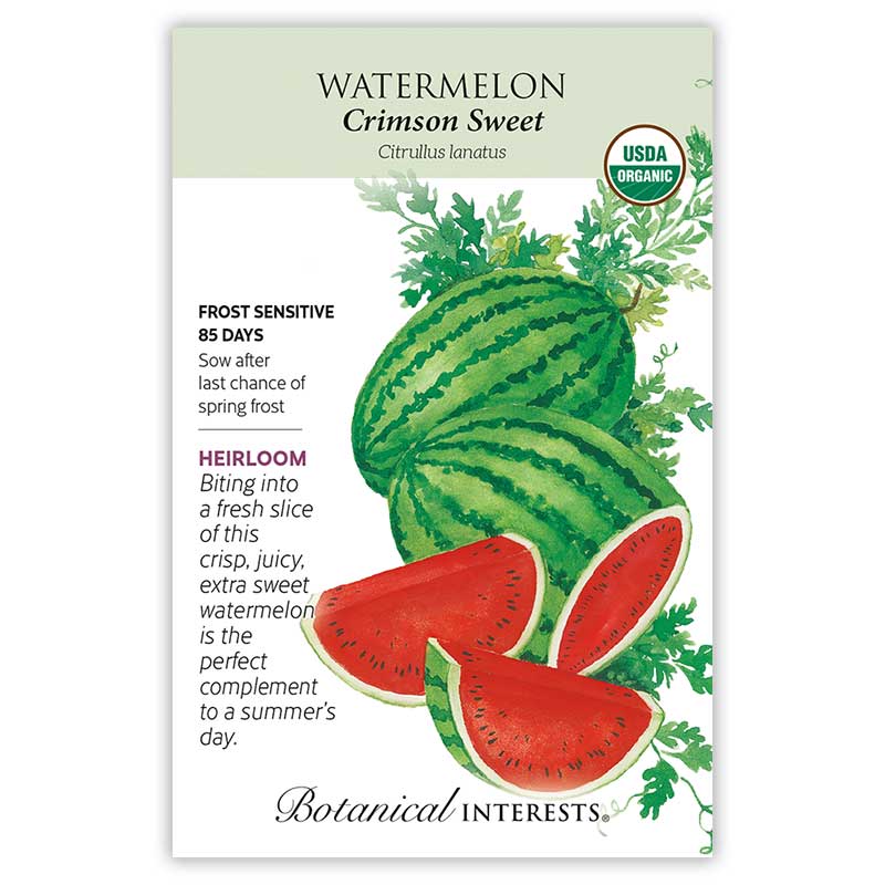 Crimson Sweet Watermelon Seeds view 3