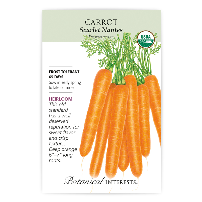 Scarlet Nantes Carrot Seeds     view 3