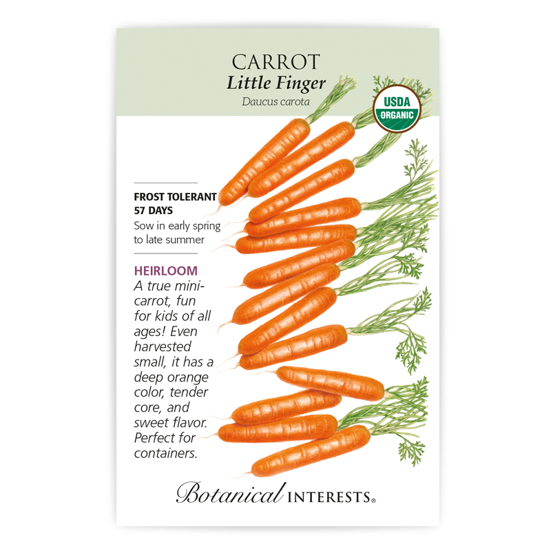 Little Finger Carrot Seeds      view 3