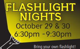 Flashlight Nights