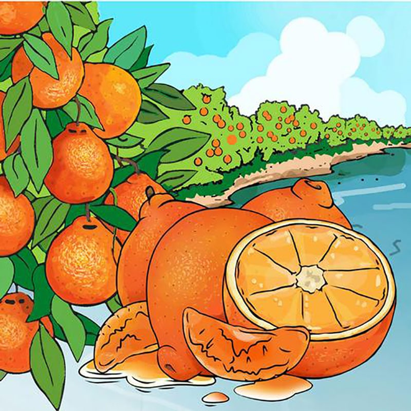 RESERVE YOUR HONEYBELLS