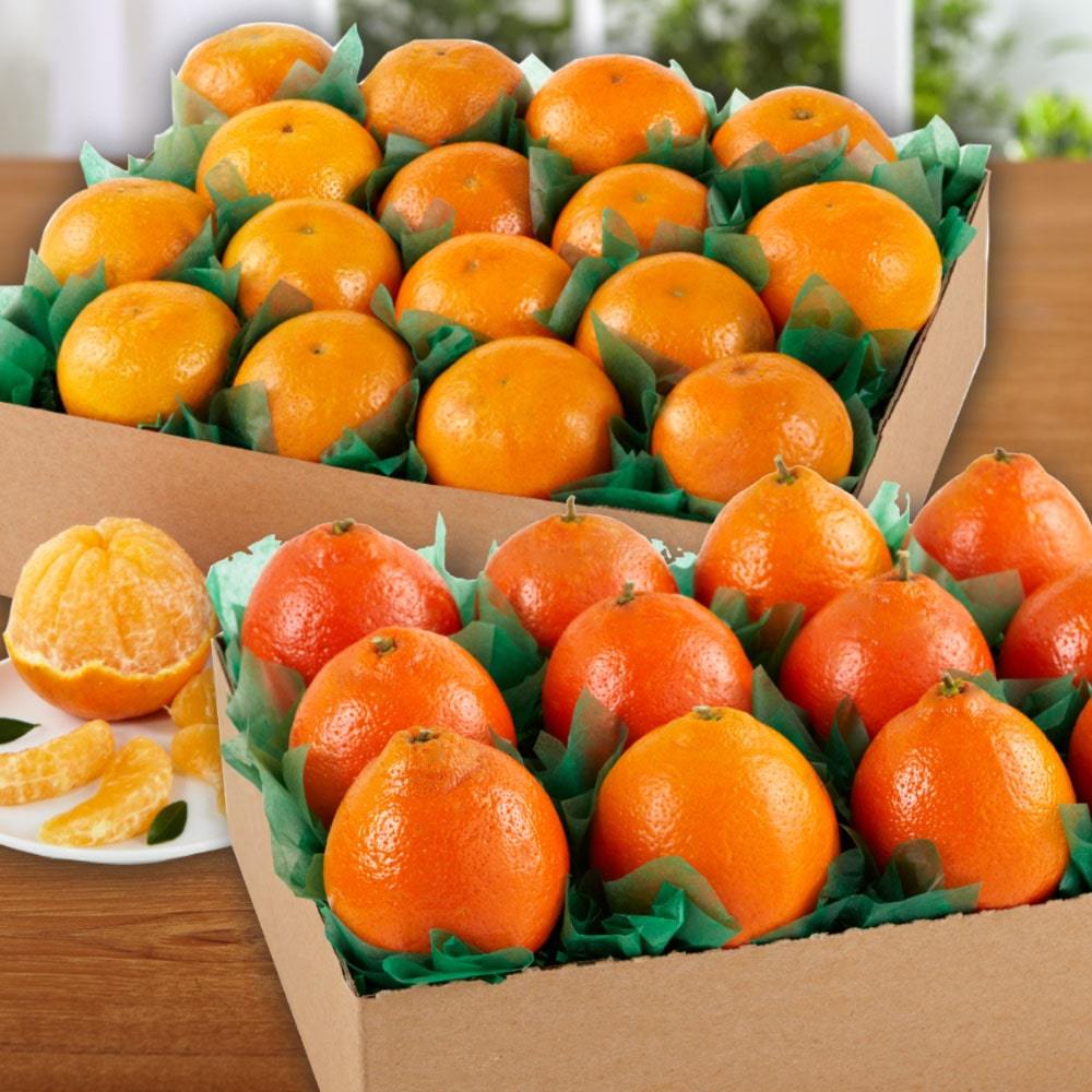 Honeybells & Sol Zest-Orri Mandarin Oranges