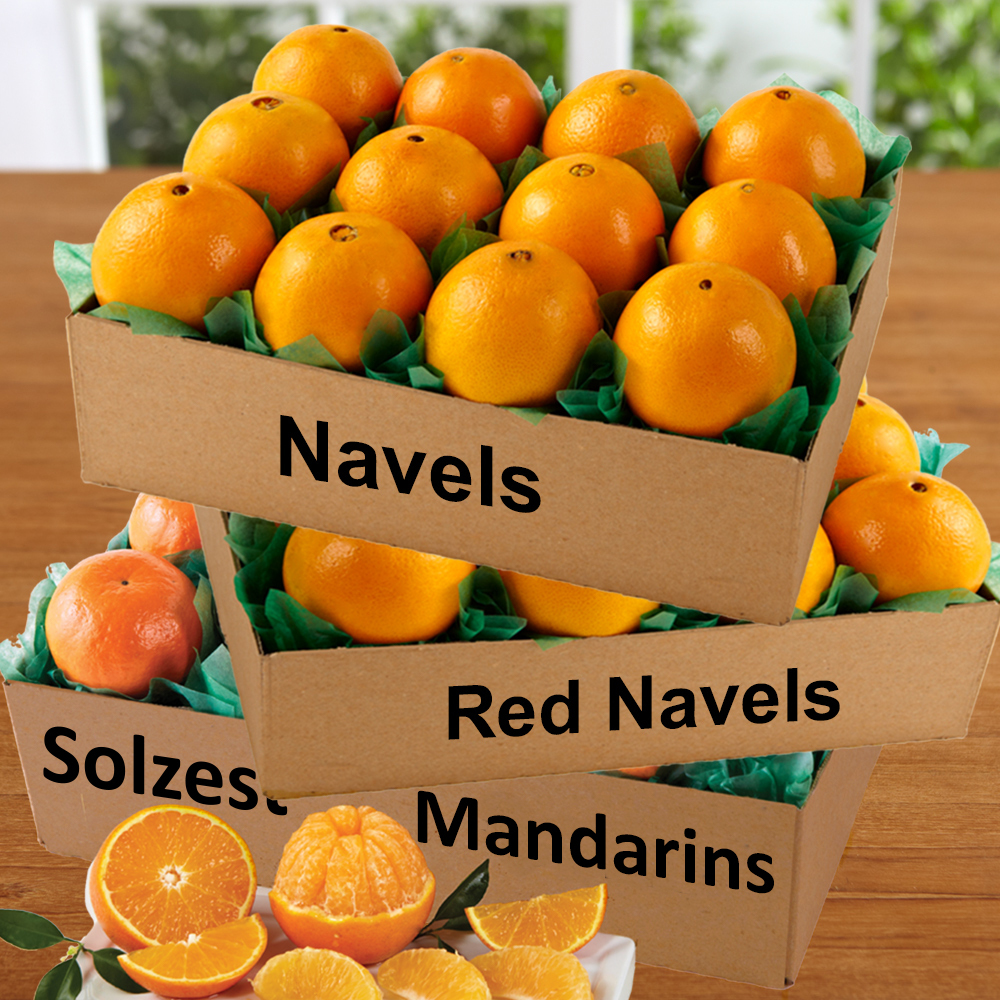 Mandarin-Navel Medley