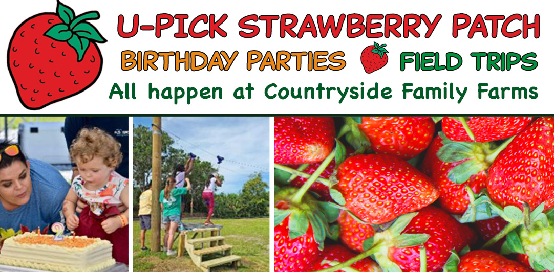 Florida Fruit Shippers Citrus Fruit Shippers in Florida