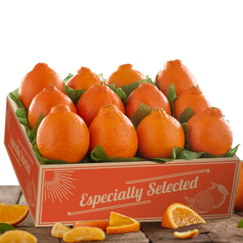 Mini Honeybells 12 count Mini Honeybells 12 count