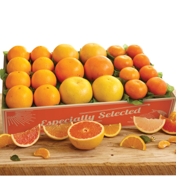Sunshine Harvest Box Sunshine Harvest Box