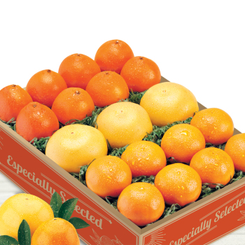 Product Image of Grove Citrus Trio