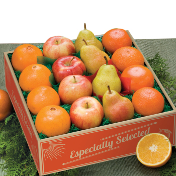 Fabulous Four Fabulous Four