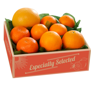 Four Flavors Citrus Sampler Four Flavors Citrus Sampler