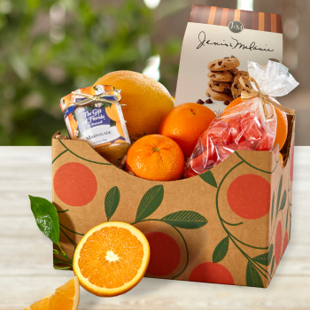 Sunshine State Snack Box Sunshine State Snack Box
